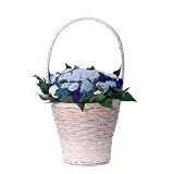The Baby Bunch Premium Gift Basket, Blue/White, 0-6 Months