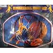 Small Basketball and Hoop for Over Door or Wall mount.