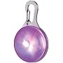 Nite Ize Spotlit LED Spot Light - Disco Nite Ize