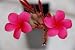 Plumeria Cutting - Sweet Red Color Flower From Nubucks