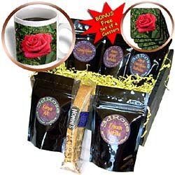 Flowers - Red HT Rose - Coffee Gift Baskets - Coffee Gift Basket by 3dRose LLC