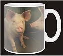 PIGS in STY Coffee Mug