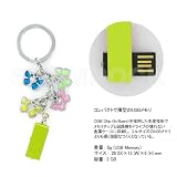 ＵＳＢメモリ２Ｇエナメルバタフライ．グリーンの画像