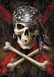 Anne Stokes ~ Pirate Skull ~ Gothic Textile Fabric Poster ~ 30" x 40"