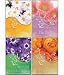 Scripture Greeting Cards-KJV-Boxed-Birthday - "Petals of Joy"