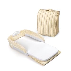 Baby Delight Snuggle Nest