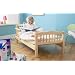 Saplings Junior Bed-Natural + FREE Mattress
