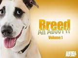 play video on Amazon Instant Video