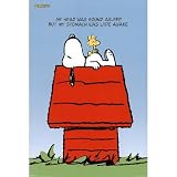 (24x36) Peanuts (Snoopy Sleeping) Art Poster Print