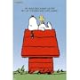 (24x36) Peanuts (Snoopy Sleeping) Art Poster Print