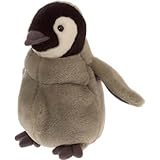 Détails sur le produit