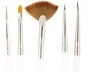 Set of 5 Nail Art Brushes Set, Detailer Liner Fan Gel