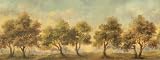 Autumn Trees Wall Mural