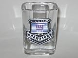 NEW YORK GIANTS 2008 SUPER BOWL CHAMPS Team Logo SHOT GLASS with Pewter Logo