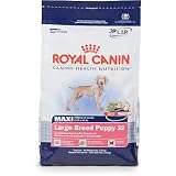41nvVqxWmeL. SL160  Royal Canin MAXI Canine Health Nutrition Large Breed Puppy 32