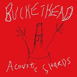 Buckethead Picture 10