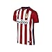 Nike Mens Athletico Madrid Home Stadium Jersey [VARSITY RED]