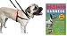 HALTI Dog Harness Small + Free Training Guide