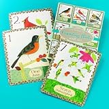 eeBoo Counting Birds Wall Cards