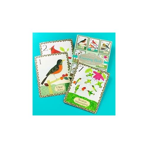 Bird Flash Cards