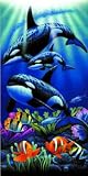 Review SB Designs  / ORCAS Killer WHALE Bath or BEACH TOWEL New Gift!
