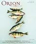 Orion
