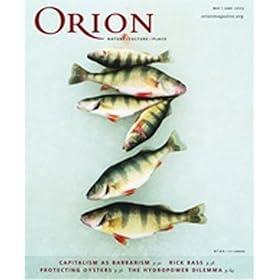 Orion