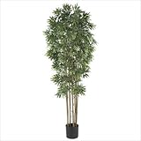 IMAGE OF 6' Bamboo Japanica Silk Tree