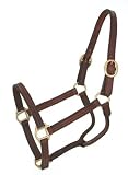 Royal King Leather Track Halter - Brown - Pony