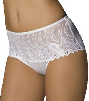 Bali Lace Desire Embroidered Hipster Brief Panty