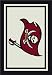 Tampa Bay Buccaneers Spirit Rug