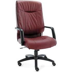 Alera ST41LS30B Stratus Series Leather High-Back Swivel Tilt Chair, Burgundy