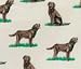   - Chocolate Labrador Dog Breed Boxer Shorts - Large