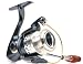 Pflueger President Spinning Reel