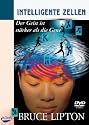 Intelligente Zellen. DVD-Video