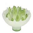 Jewel Cup