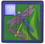 DRAGONFLY 3D SLIDE PUZZLE by Toysmith
