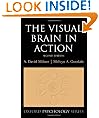 The Visual Brain in Action (Oxford Psychology Series)