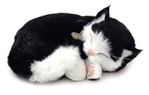 Perfect Petzzz Kitten - Black/ White