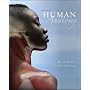 Human Anatomy