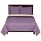 Home Garden Party Chrysanthemum Quilt Collection - Purple