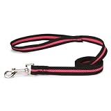 Casual Canine Mesh Lead 4 Ft X 3/4 In Pink