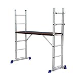 Review AW  / Multi-Purpose Scaffold Ladder with Plywood Platform (AW1056)