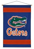 Florida Gators Sideline Wall Hanging (29x45) NCAA