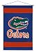Florida Gators Sideline Wall Hanging (29x45) NCAA