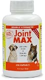 NEW! Joint MAX DS Double Strength (250 CAPSULES)