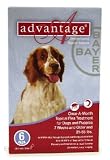 Advantage - Red Box for Dogs 21-55 pounds - 6 pack