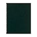 Prat Cristal 502 Refill for Spiral Books, Multi-Ring Sheet Protectors with Black Paper Insert, 17 X 11 inches, Pack of 10 (502-17X11)