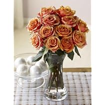 One Dozen Majestic Sunset Roses