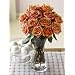 Quality organically grown flowers and bouquets.